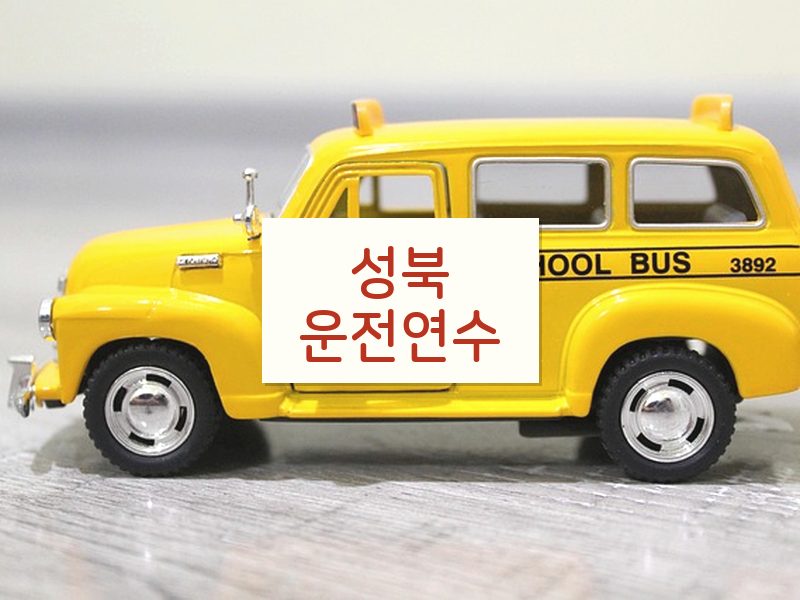 성북운전연수 후기