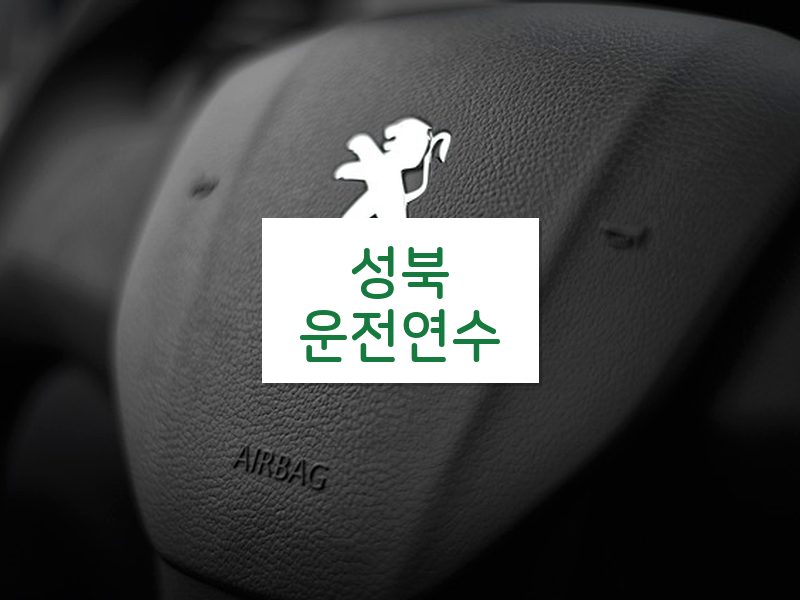 성북운전연수 후기