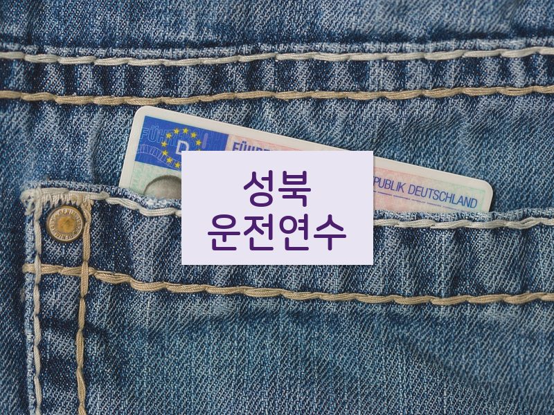 성북운전연수 후기