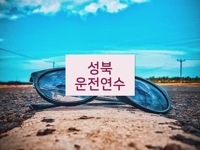 성북운전연수 후기
