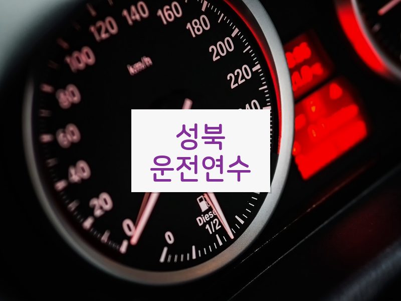 성북운전연수 후기