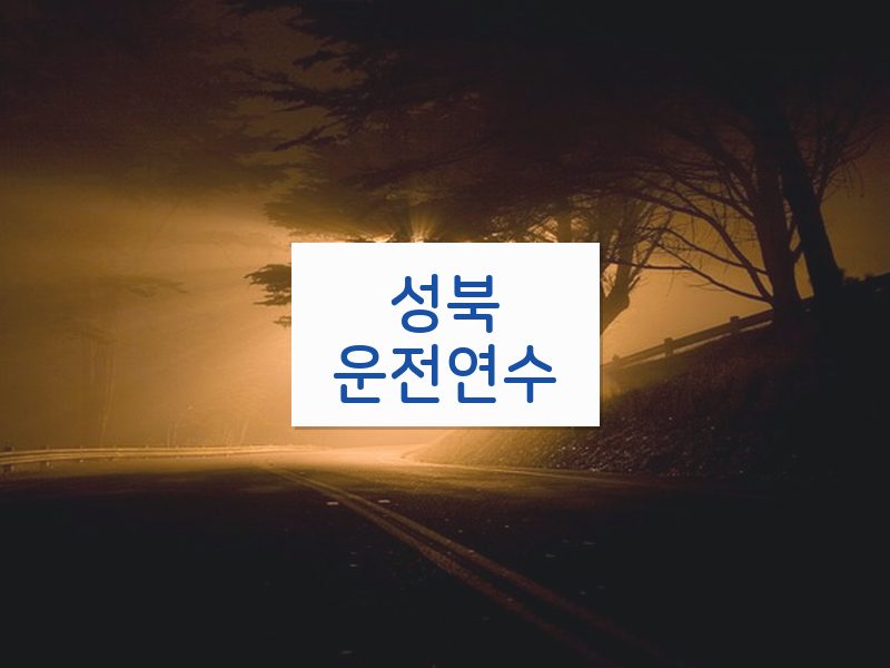 성북운전연수 후기