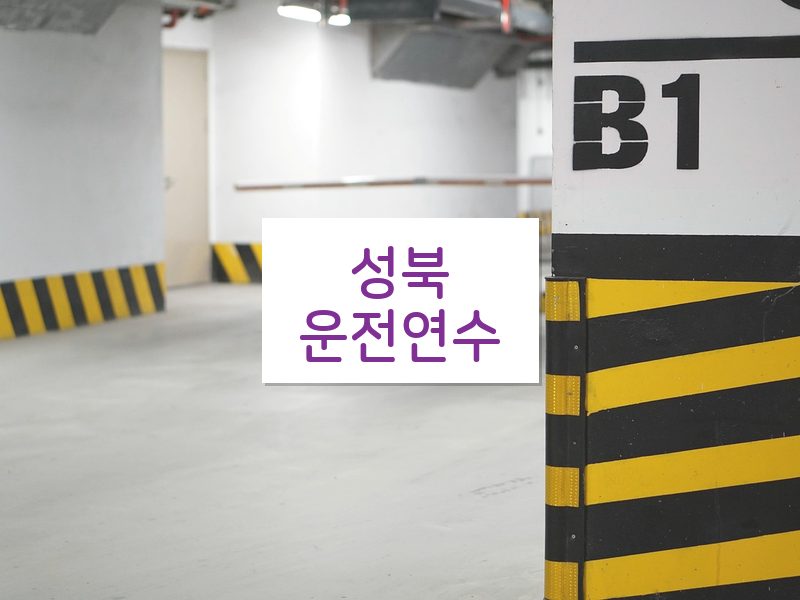 성북운전연수 후기