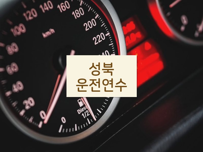 성북운전연수 후기