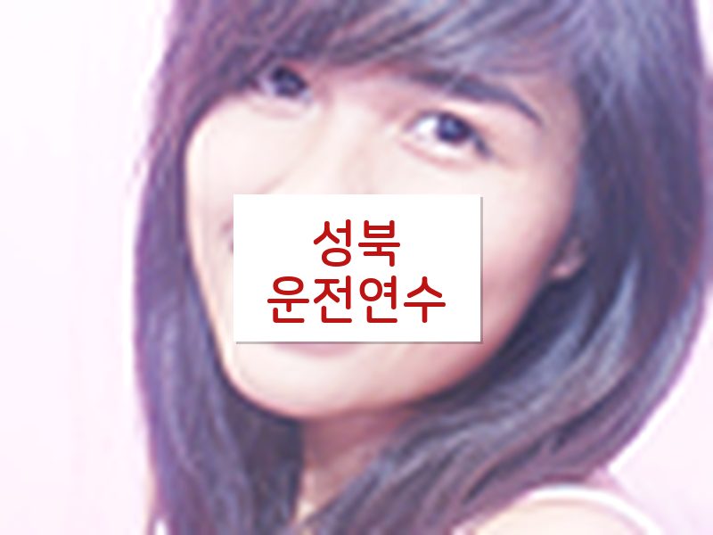 성북운전연수 후기