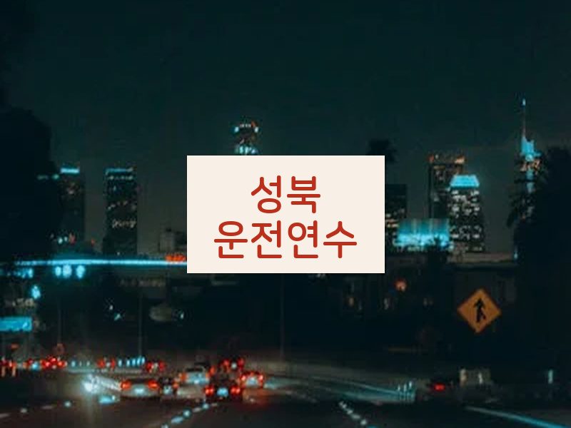성북운전연수 후기