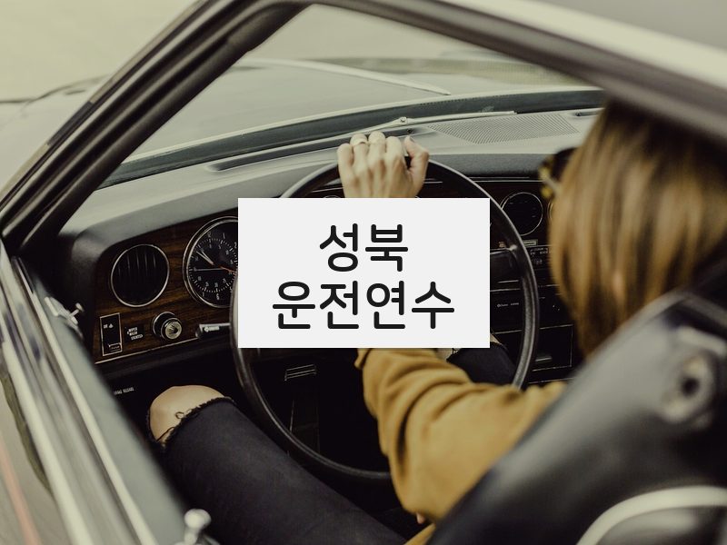 성북운전연수 후기