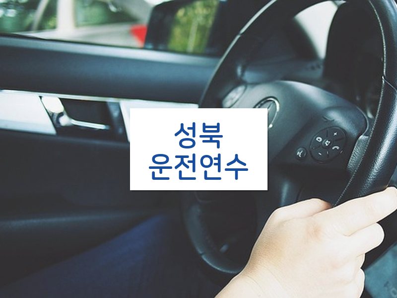 성북운전연수 후기