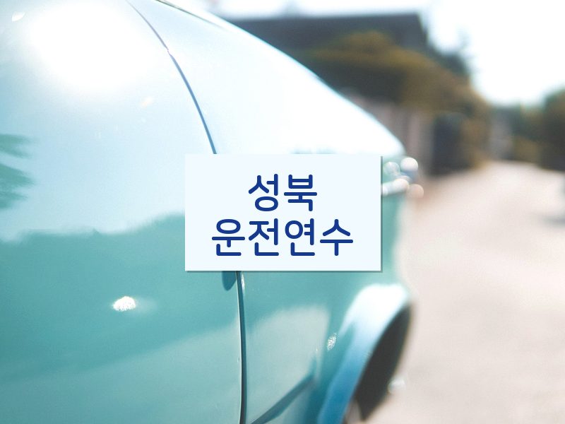 성북운전연수 후기