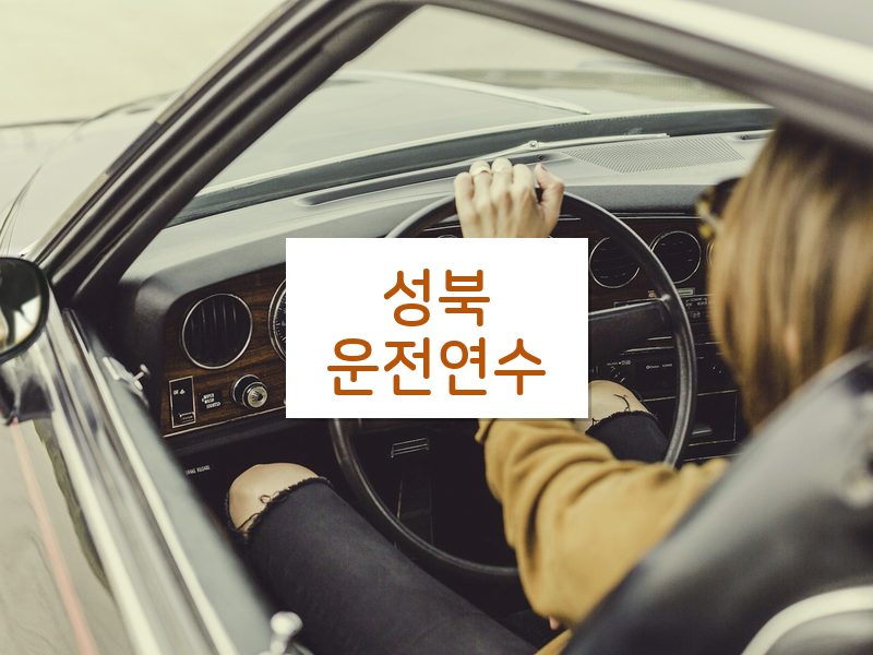 성북운전연수 후기