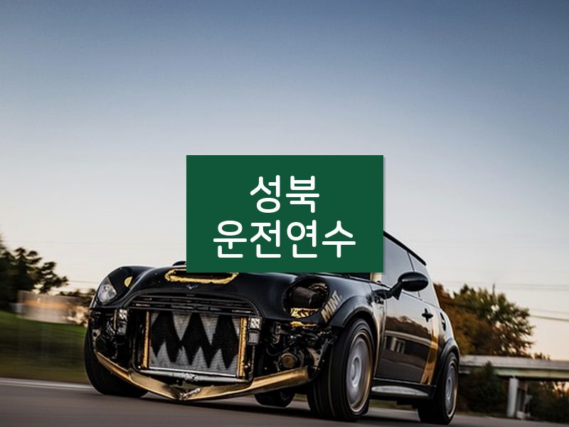 성북운전연수 후기