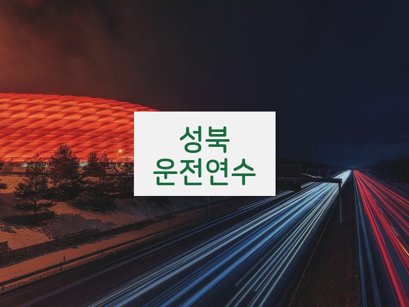 성북운전연수 후기