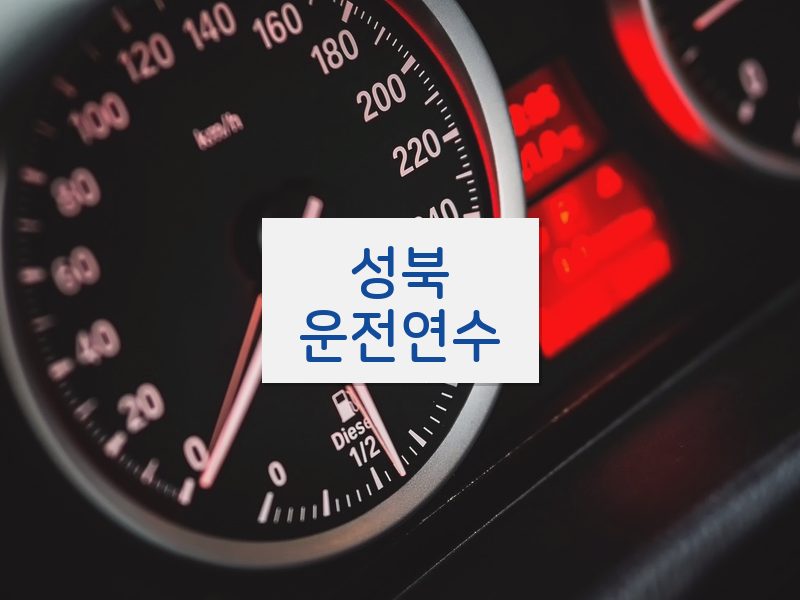 성북운전연수 후기