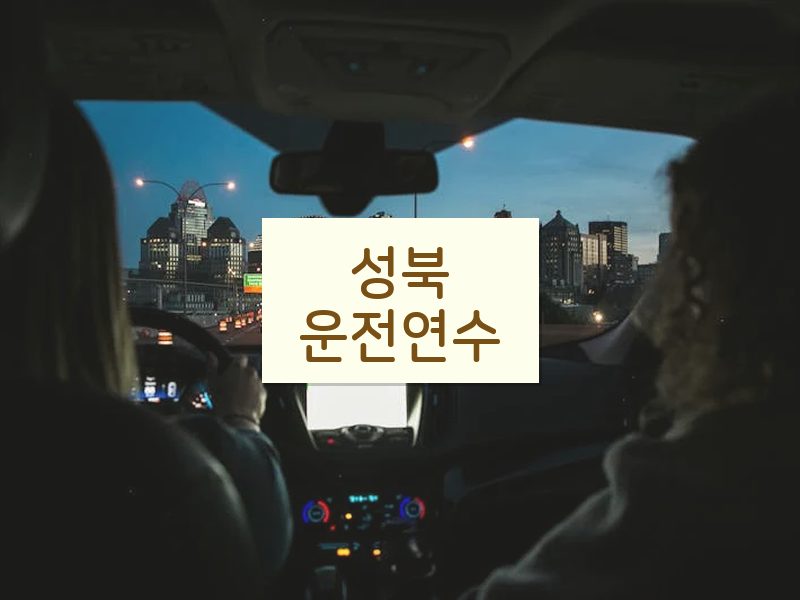 성북운전연수 후기