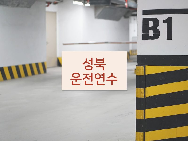 성북운전연수 후기