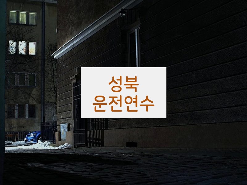 성북운전연수 후기