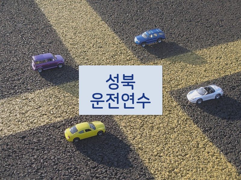 성북운전연수 후기