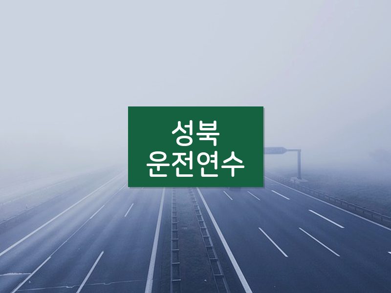 성북운전연수 후기