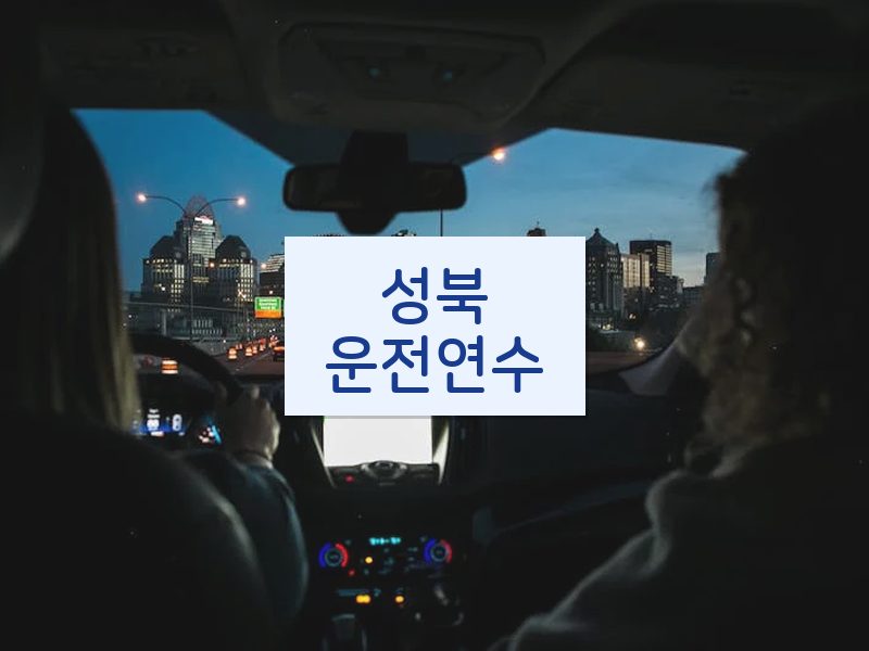 성북운전연수 후기