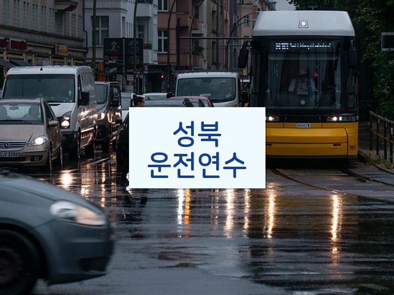 성북운전연수 후기