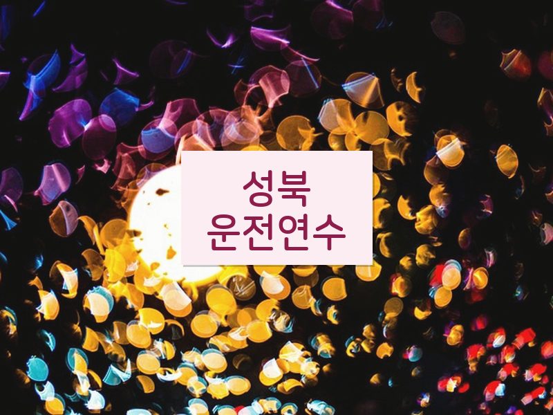 성북운전연수 후기