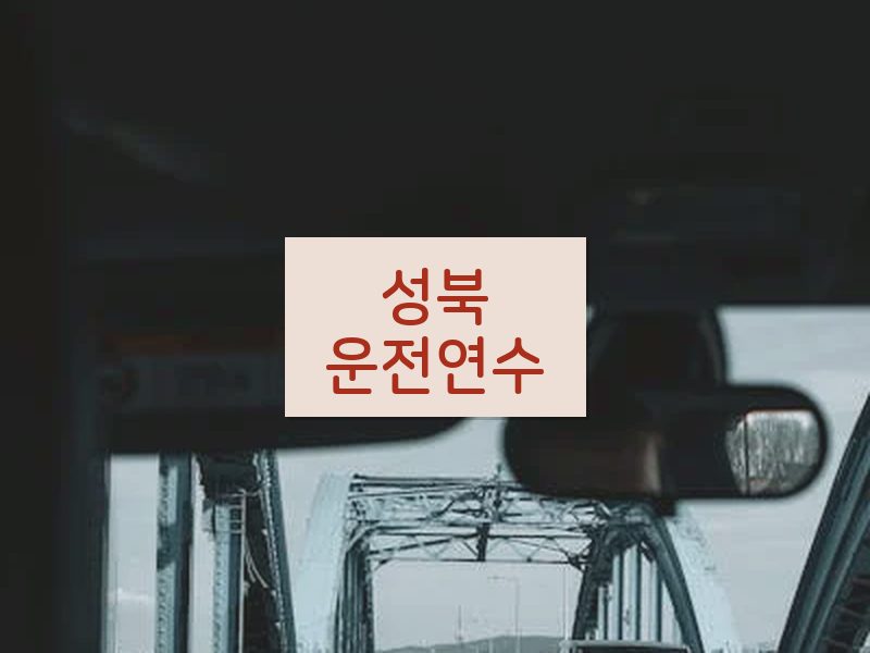 성북운전연수 후기