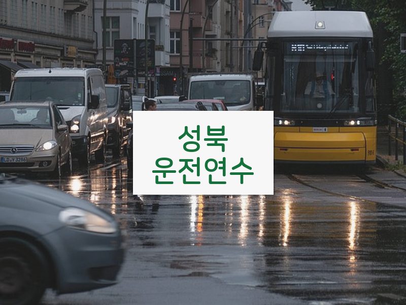 성북운전연수 후기