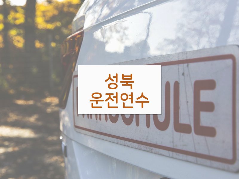 성북운전연수 후기