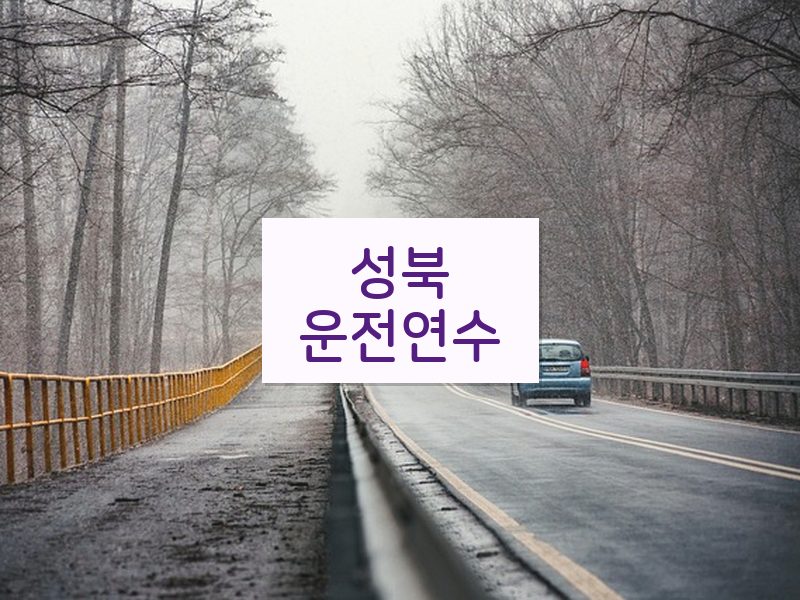 성북운전연수 후기
