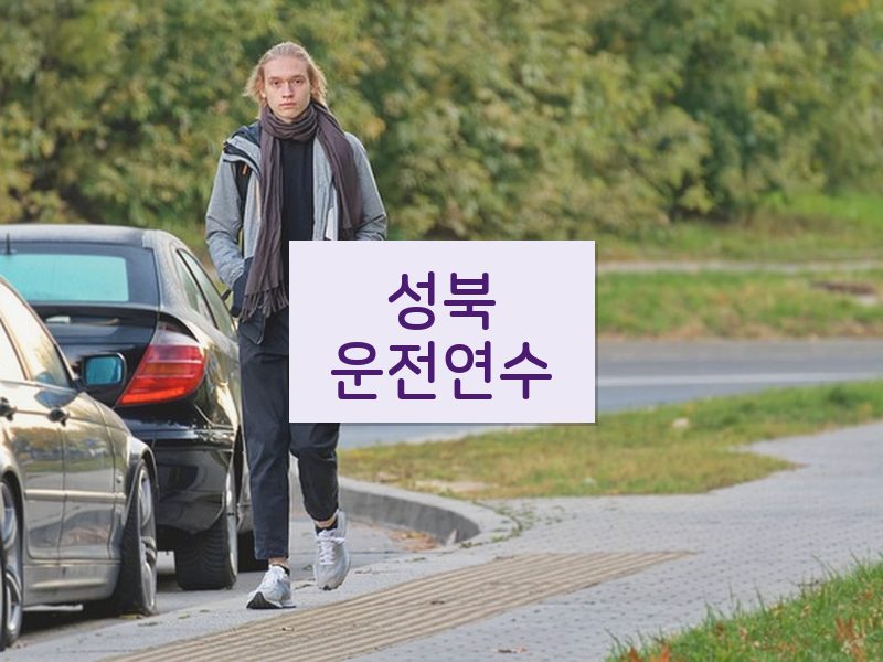 성북운전연수 후기