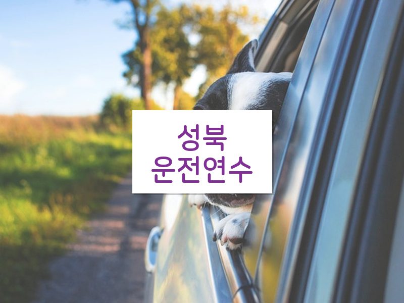 성북운전연수 후기