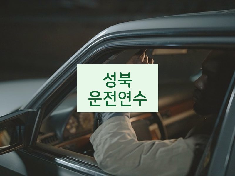 성북운전연수 후기