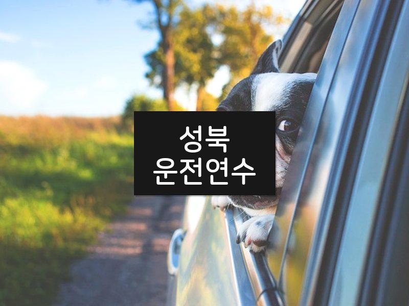 성북운전연수 후기