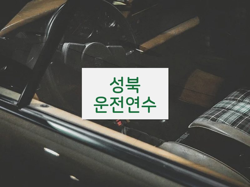 성북운전연수 후기