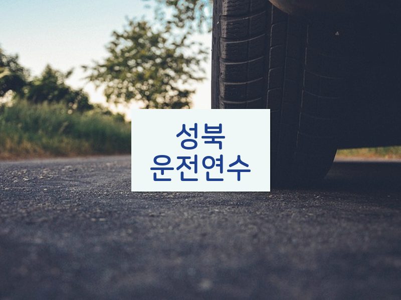 성북운전연수 후기