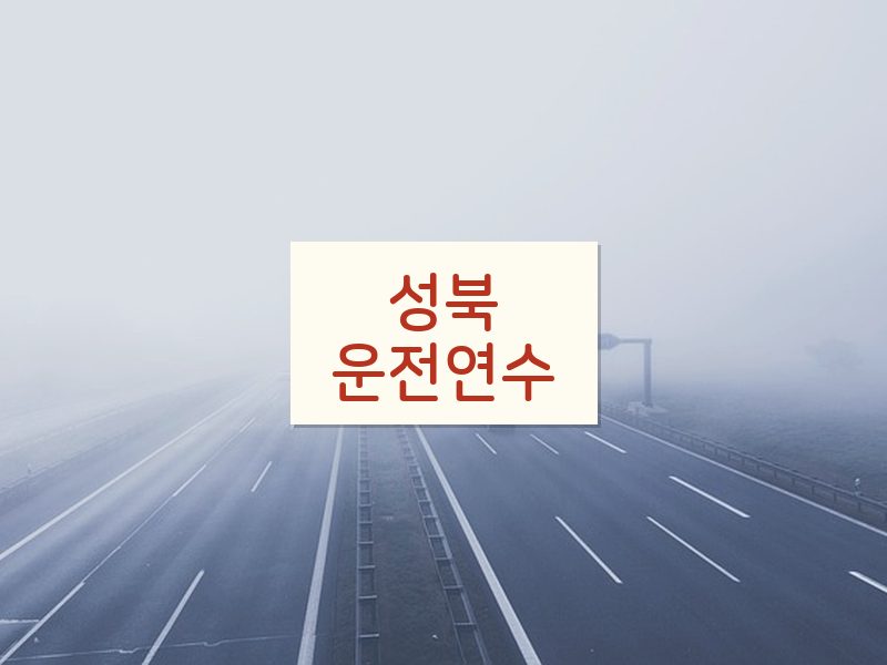 성북운전연수 후기