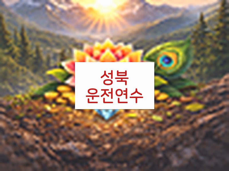 성북운전연수 후기