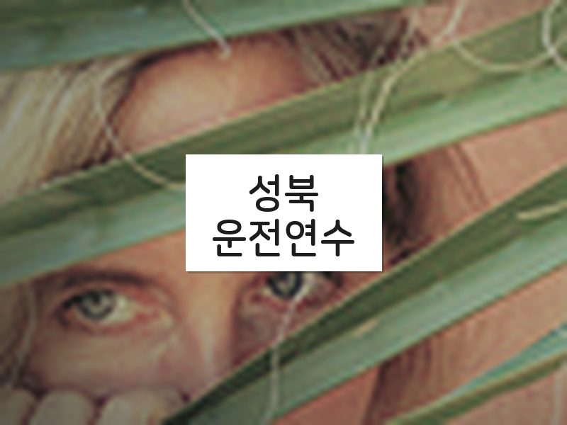 성북운전연수 후기
