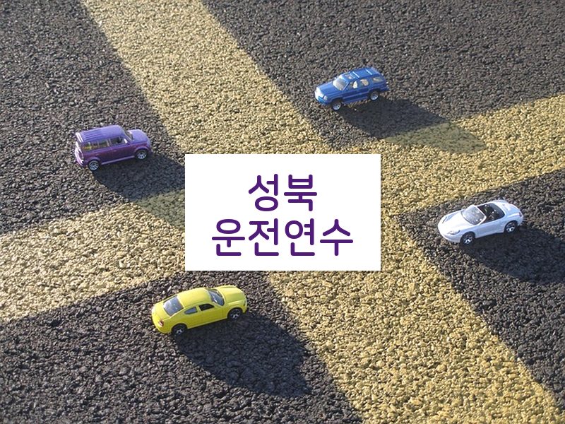 성북운전연수 후기