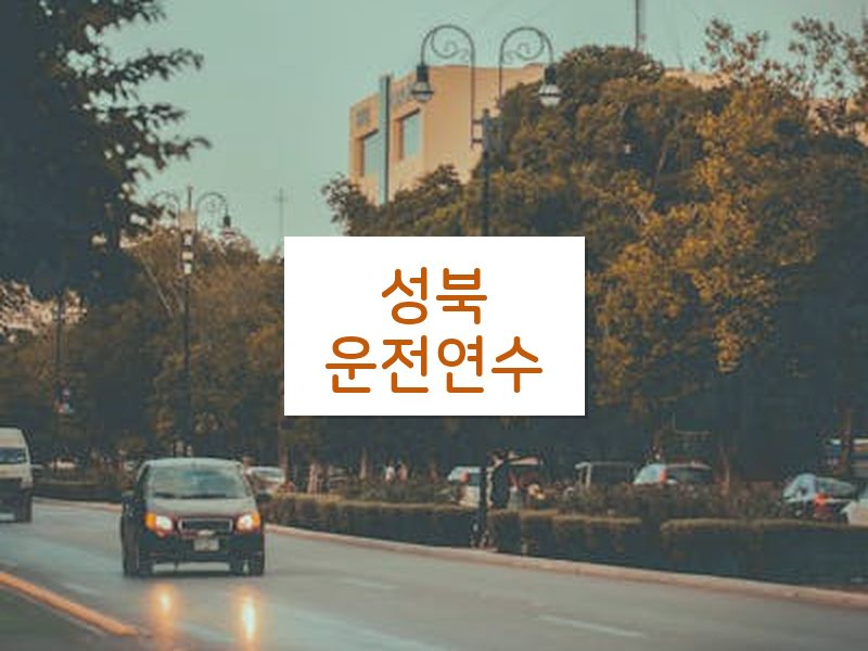 성북운전연수 후기