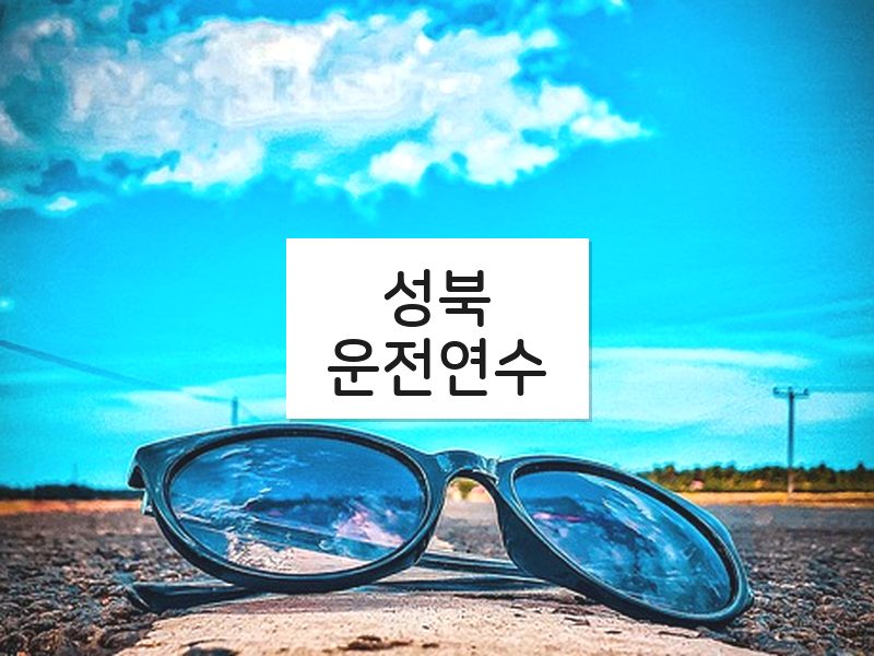 성북운전연수 후기