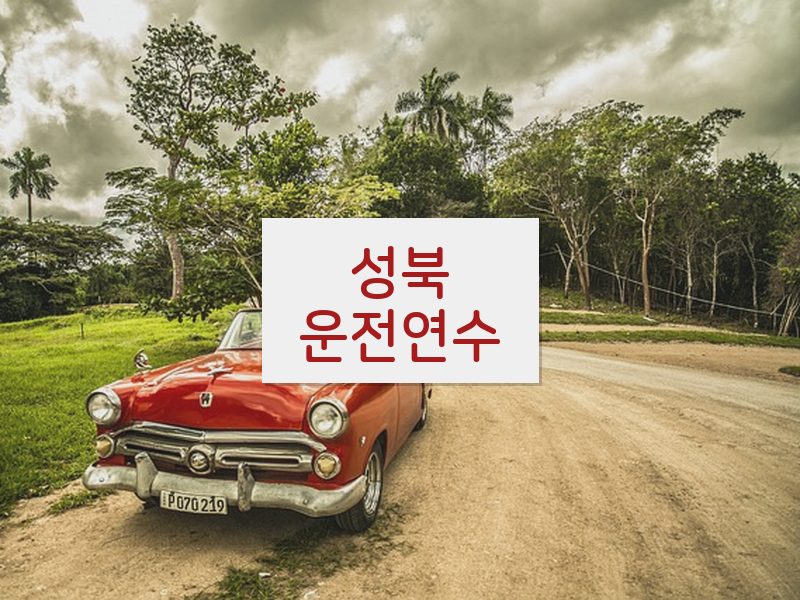 성북운전연수 후기
