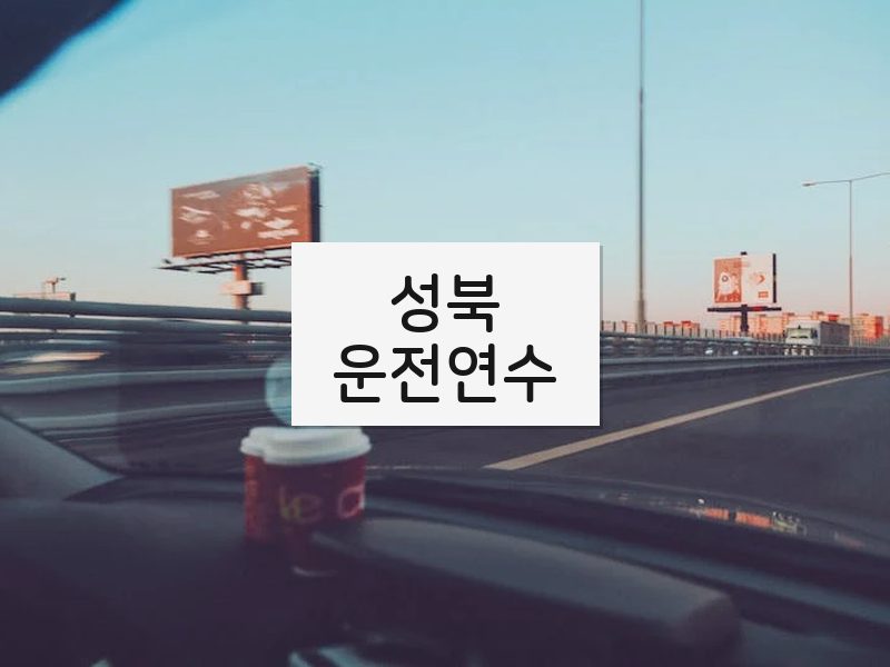 성북운전연수 후기