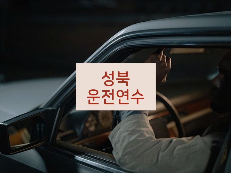 성북운전연수 후기