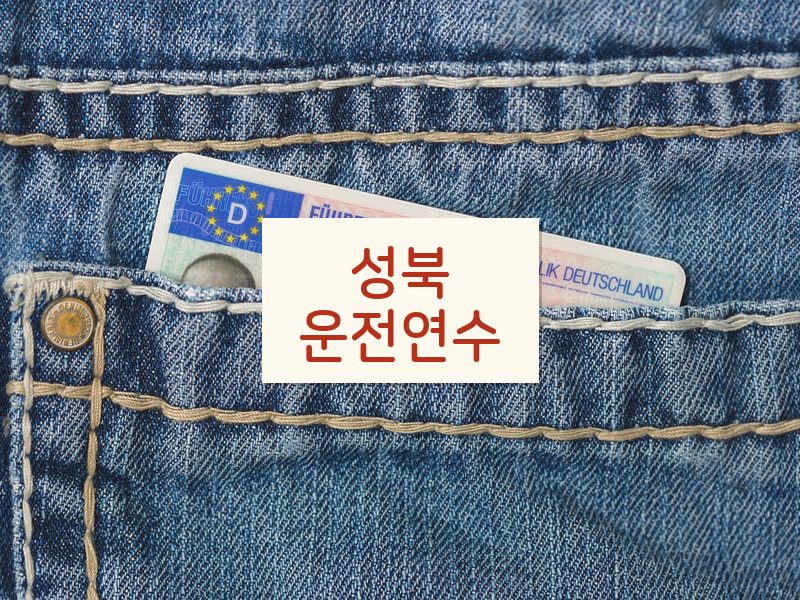 성북운전연수 후기