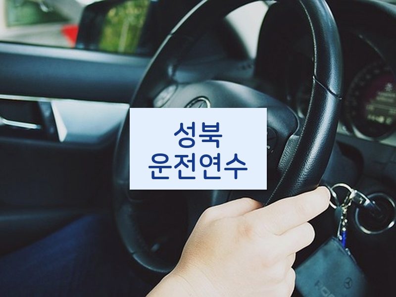 성북운전연수 후기
