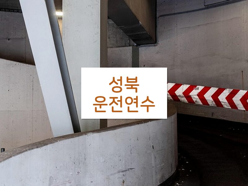 성북운전연수 후기