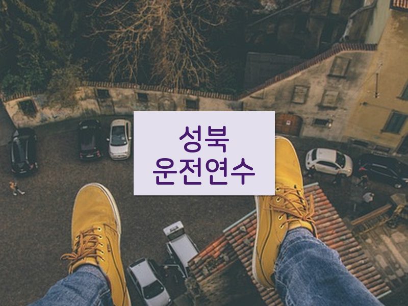 성북운전연수 후기