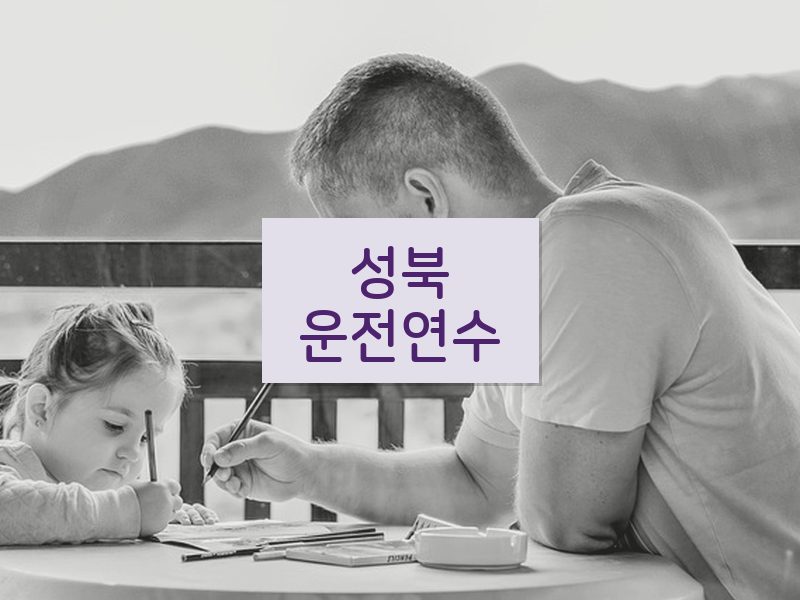 성북운전연수 후기