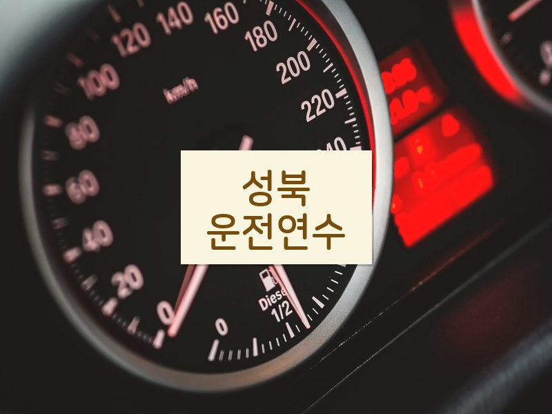 성북운전연수 후기